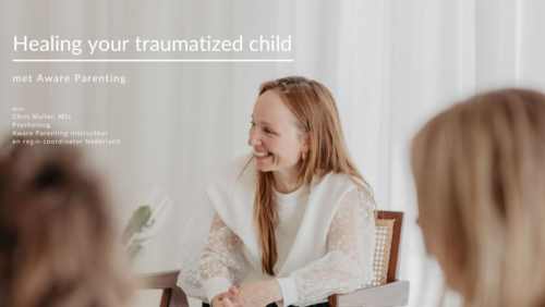 Healing Your Traumatised Child (professionals)