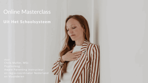 Online Masterclass Uit Het Schoolsysteem