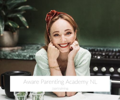 Aware Parenting Academy termijnen xs (los)