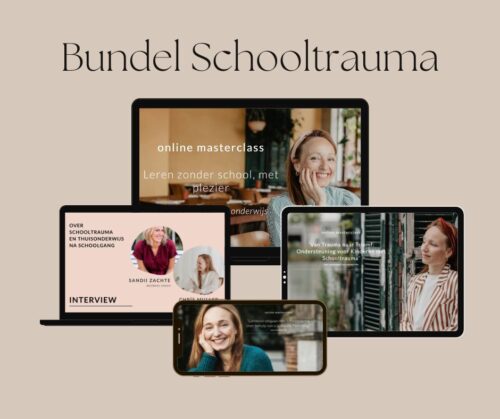 Herstel en Groei: De Schooltrauma Bundel